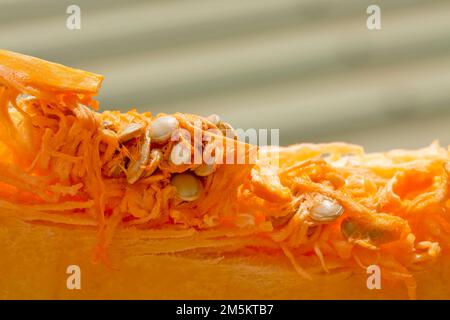 Citrouille, courge ou Muscade de Provence, Muscat de Provence la citrouille, couper avec la pâte et les graines Banque D'Images