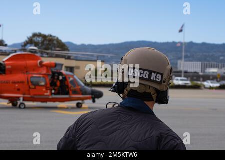 Le petit officier 2nd classe Jacob Bracker attend de commencer les opérations de levage K-9 à la station aérienne de la Garde côtière de San Francisco, Californie, on 23 mars 2022. Les opérations d'accueil sont l'une des nombreuses missions que la Garde côtière K-9s pratique aux fins de l'application de la loi. (Photo de la Garde côtière par Petty Officer 3rd Class Hunter Schnabel) Banque D'Images