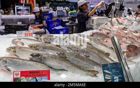 Exposition de saumon atlantique en vente au marché aux poissons de Sydney, Sydney, Nouvelle-Galles du Sud, Australie, le 28 décembre 2022 Banque D'Images