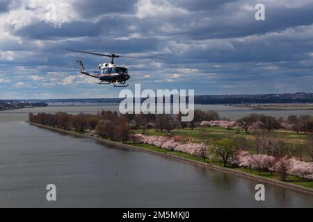 Un hélicoptère UH-1N Huey affecté au premier Escadron d'hélicoptères (1 HS) de la base interarmées Andrews, Maryland, survole le parc East Potomac, Washington, D.C., pendant le festival annuel des cerisiers en fleurs, 26 mars 2022. La mission du SH 1 est de fournir un service de transport aérien prioritaire pour les cadres supérieurs civils et militaires de niveau national dans la région de la capitale nationale. Banque D'Images