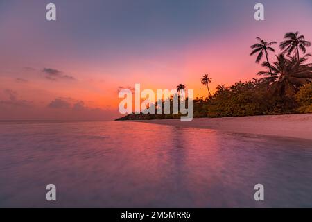Vacances d'été tranquilles ou paysage de vacances. Île tropicale coucher de soleil vue sur la plage silhouette de palmier sur mer calme ciel. Vue exotique sur la nature, inspiration Banque D'Images