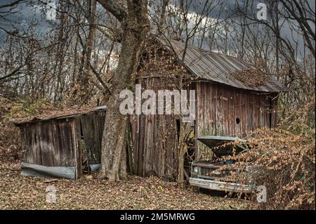 Un gros plan d'une ancienne grange en bois sur les bois avec des arbres sans feuilles Banque D'Images