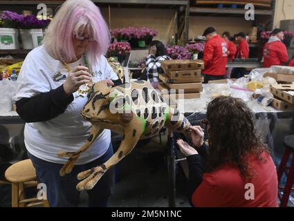 Irwindale, États-Unis. 29th décembre 2022. Les volontaires utilisent des milliers de fleurs et d'autres matériaux végétaux pour préparer des flotteurs pour la parade annuelle du Tournoi des Roses 134th à Irwindale, Californie, jeudi, 29 décembre 2022. La roseraie sera retransmise en direct de Pasadena sur 2 janvier 2023. Photo de Jim Ruymen/UPI crédit: UPI/Alay Live News Banque D'Images