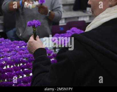 Irwindale, États-Unis. 29th décembre 2022. Les volontaires utilisent des milliers de fleurs et d'autres matériaux végétaux pour préparer des flotteurs pour la parade annuelle du Tournoi des Roses 134th à Irwindale, Californie, jeudi, 29 décembre 2022. La roseraie sera retransmise en direct de Pasadena sur 2 janvier 2023. Photo de Jim Ruymen/UPI crédit: UPI/Alay Live News Banque D'Images