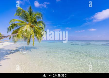 Belle plage tropicale paradisiaque. Vagues de mer calme ciel ensoleillé sable blanc et palmiers de coco Voyage tourisme concept de fond. Magnifique paysage de plage Banque D'Images