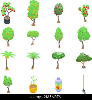 Ensemble d'icônes d'arbres fruitiers. Ensemble isométrique d'icônes vectorielles d'arbres fruitiers pour la conception de sites Web isolée sur fond blanc Illustration de Vecteur