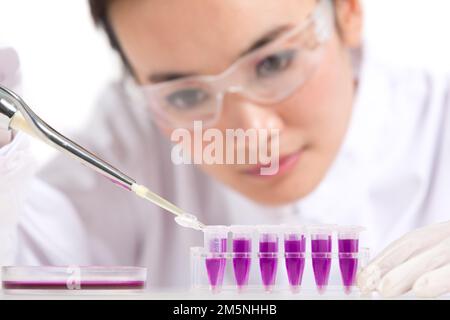Le réactif que les femmes scientifiques ont observé in vitro Banque D'Images