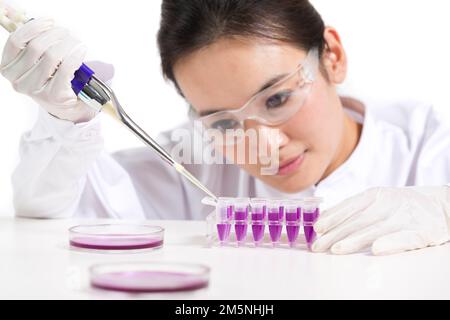 Le réactif que les femmes scientifiques ont observé in vitro Banque D'Images