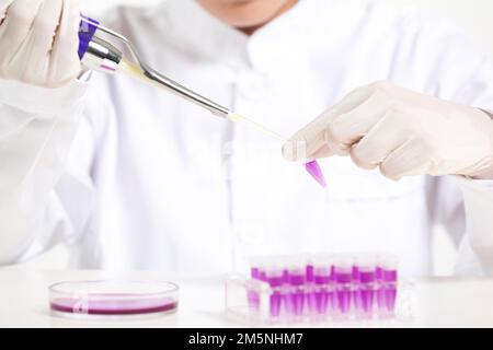 Le réactif que les femmes scientifiques ont observé in vitro Banque D'Images