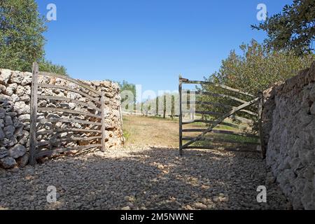 Porte traditionnelle en bois, Torralbenc, Minorque, Iles Baléares, Espagne Banque D'Images