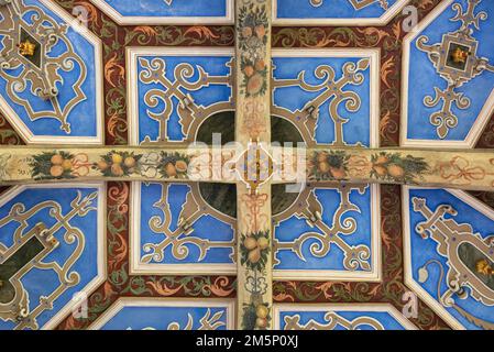 Plafond peint à poutres apparentes, Hobeck Palace dans le château de Leitzkau, Saxe-Anhalt, Allemagne Banque D'Images