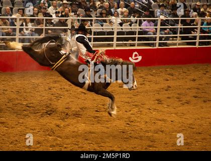 Un pilote participe à la compétition de busting de bronco au San Antonio stock Show and Rodeo, le 26 février 2022. Le San Antonio stock Show and Rodeo est l'un des plus grands événements organisés chaque année avec environ 1,5 millions de visiteurs entrant dans le parc des expositions chaque année. Banque D'Images