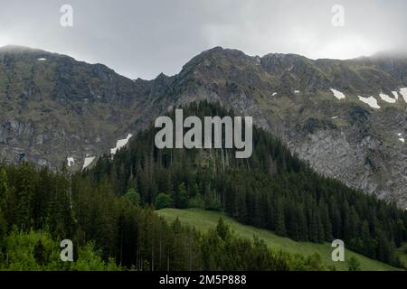 Montagnes suisses au printemps nuageux avec une forêt Banque D'Images