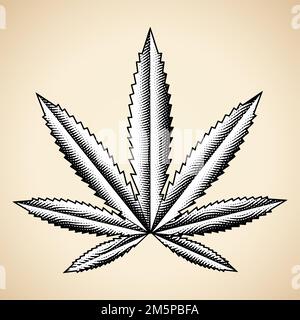 Illustration de la feuille de cannabis gravée sur un fond beige Banque D'Images