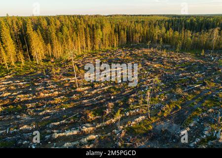 Une vue aérienne sur une zone minéralisée à coupe claire près d'une forêt près d'Hossa, dans le nord de la Finlande Banque D'Images