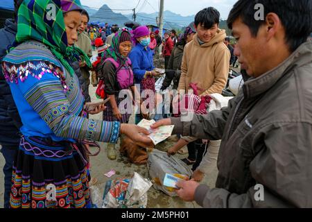 Bac Ha, Vietnam - 18 décembre 2022 : une femme qui vend des porcs sur le marché de bac Ha au Vietnam. Banque D'Images