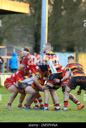 Llandovery RFC v Carmarthen Quins 2022 Indigo Prem Banque D'Images