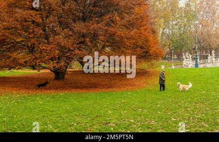 Parco del Valentino sur les rives du po dans la ville de Turin, Piémont, nord de l'Italie - Europe - paysage automnal Banque D'Images