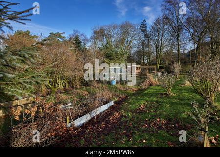 En fin d'après-midi et le soleil de Noël ramasse le petit jardin de cuisine du Yorkshire du Nord à 900ft. Banque D'Images