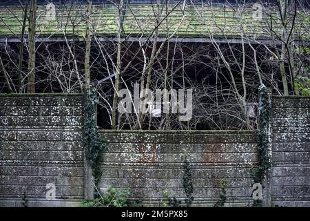 Petite rupture dans un mur de béton d'une usine abandonnée Banque D'Images