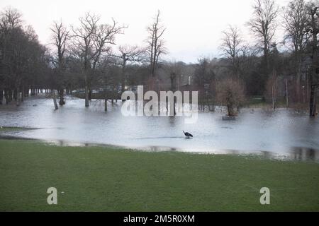 Édimbourg, Royaume-Uni. 30th décembre 2022. Météo au Royaume-Uni, forte pluie à Édimbourg. Vue générale du terrain de rugby dans Cameron Toll. Édimbourg. Crédit photo : Pako Mera/Alay Live News Banque D'Images