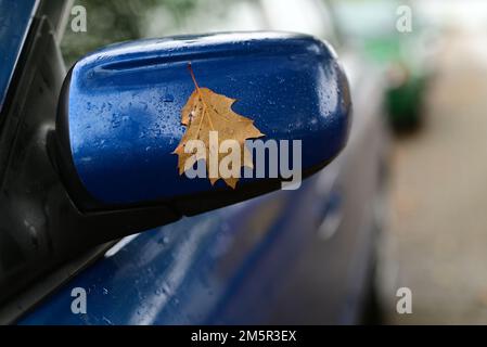 Gros plan d'une feuille d'automne sur le miroir d'aile d'une voiture bleue Banque D'Images