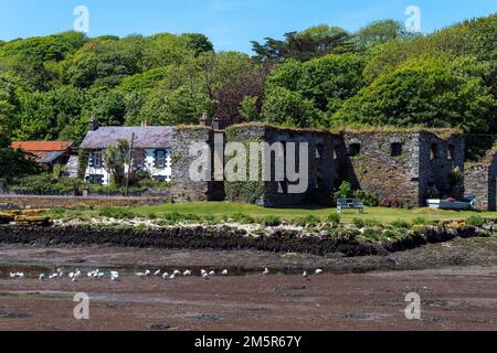 Ruines de pierre le jour ensoleillé du printemps, le sud de l'Irlande. Les ruines du magasin de grains Arundel près de Clonakilty, West Cork, 16th siècle. Le fond marin à bas Banque D'Images