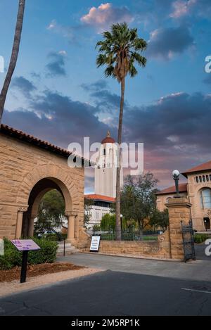 Vue à distance de la tour Hoover sur le campus de l'université de Stanford à Palo Alto Banque D'Images