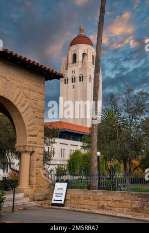 Vue à angle bas de la tour Hoover sur le campus de l'université de Stanford Banque D'Images