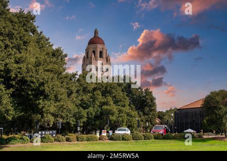 Arbres et plantes poussant devant la tour Hoover sur le campus de l'université de Stanford Banque D'Images