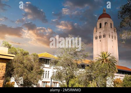 Vue à angle bas de la tour Hoover sur le campus de l'université de Stanford Banque D'Images