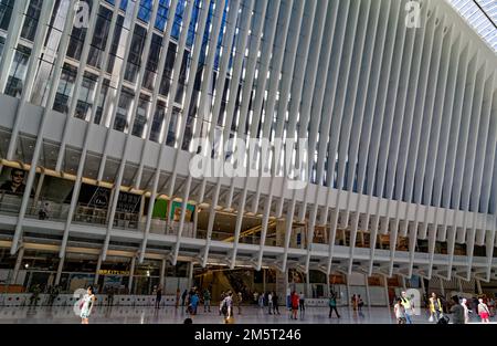 Les côtes blanches d'Oculus survolent le centre de transport du World Trade Center. Banque D'Images