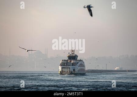 Istanbul, Turquie. 30th décembre 2022. Des mouettes survolées avec le ferry des lignes de la ville au départ de la jetée de Kadikoy. Bien que le temps ait été exceptionnellement chaud à Istanbul, les gens se sont amusés autour de la jetée de Kadikoy. (Credit image: © Onur Dogman/SOPA Images via ZUMA Press Wire) Credit: ZUMA Press, Inc./Alamy Live News Banque D'Images