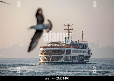 Istanbul, Turquie. 30th décembre 2022. Des mouettes volantes autour des lignes de ferry de la ville et de la Mosquée bleue et de Sainte-Sophie en arrière-plan ont été vues. Bien que le temps ait été exceptionnellement chaud à Istanbul, les gens se sont amusés autour de la jetée de Kadikoy. (Credit image: © Onur Dogman/SOPA Images via ZUMA Press Wire) Credit: ZUMA Press, Inc./Alamy Live News Banque D'Images