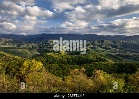 TN00122-00....Tennessee - vue sur les collines vallonnées jusqu'au parc national des Great Smoky Mountains depuis Foothills Parkway. Banque D'Images