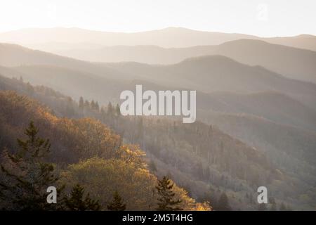 TN00123-00....Tennessee/Caroline du Nord - vue depuis la Highway 441 près de Newfound Gap dans le parc national des Great Smoky Mountains. Banque D'Images