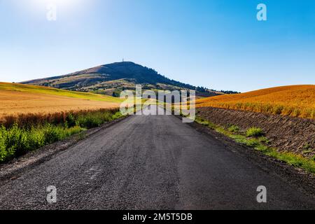 Steptep Butte; magnifiques champs de ferme colorés; région de Palouse; État de Washington; États-Unis Banque D'Images