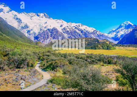 Prés de Hooker Valley et massif du Mont Cook, île du Sud de la Nouvelle-Zélande Banque D'Images