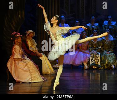 Melbourne, Floride, États-Unis. 30th décembre 2022. Le State Ballet Theatre of Ukraine s'associe au Melbourne City Ballet Theatre pour réaliser une production du classique « Leeping Beauty » lors de sa tournée américaine au King Centre de Melbourne, en Floride, vendredi, 30 décembre 2022. Photo de Joe Marino/UPI crédit: UPI/Alay Live News crédit: UPI/Alay Live News Banque D'Images