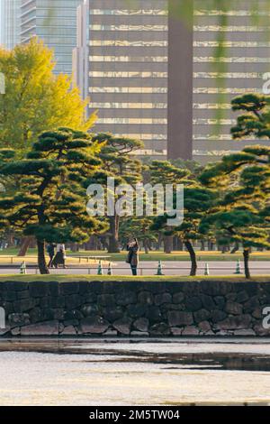 Personne dans un jardin japonais de la ville Banque D'Images