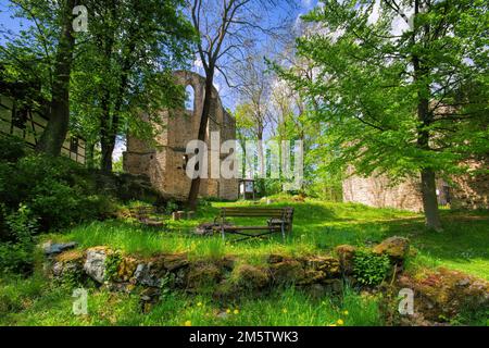 Burgstein ruine au printemps, Paysage Vogtland , Allemagne Banque D'Images