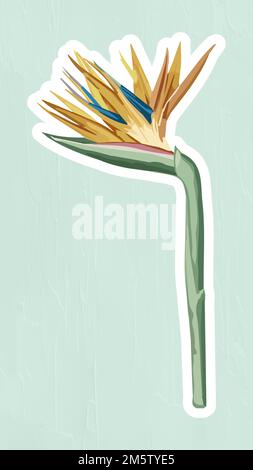 Autocollant oiseau de paradis vectorisé avec un élément de décoration à bordure blanche Illustration de Vecteur
