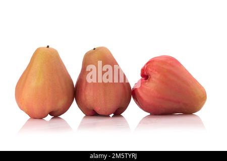 Pommes de rose isolées sur fond blanc. Banque D'Images