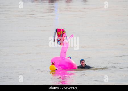 Mayence, Allemagne. 31st décembre 2022. Un participant nage avec un cerceau de natation rose dans le Rhin. Pour l'année 50th, l'Abschwimmen du service des incendies est célébré cette année, environ 200 participants attendus commencent à la hauteur de la Fischtorplatz sur la bonne route de deux kilomètres jusqu'au Feldbergtor. Credit: Andreas Arnold/dpa/Alay Live News Banque D'Images