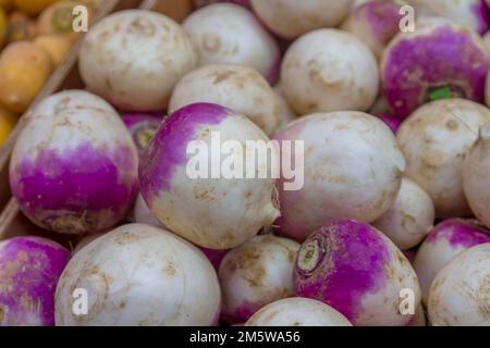 Navet (Brassica rapa subsp. Rapa), vente sur le marché, Alsace, France Banque D'Images