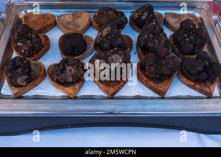 Truffes au marché de la truffe à Menerbes, France Banque D'Images