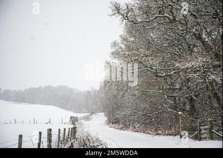 La route en haut de Glen Coiltie près de Drumnadrochit comme neige tombe sur un froid décembre après-midi. Banque D'Images