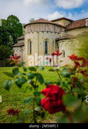 Vue sur le transept et les apses de l'abbaye romane de Flaran avec rose cannelle rouge au premier plan (Gers, Sud de la France) Banque D'Images