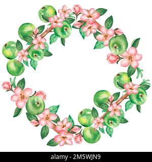 Illustration de la couronne à aquarelle dessinée à la main avec des fleurs de pomme, des feuilles et des pommes vertes sur la branche avec un espace pour le texte. Banque D'Images