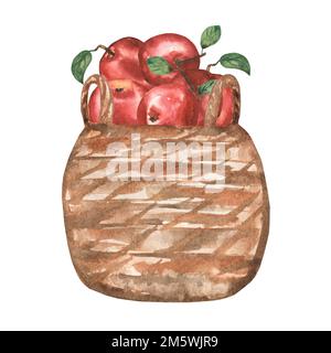 Aquarelle dessin à la main avec des feuilles et des applictionsAquarelle dessin à la main avec des fleurs de pomme, des feuilles et des pommes rouges dans le b Banque D'Images